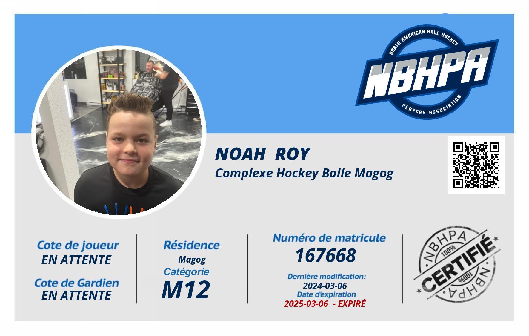 Noah  Roy