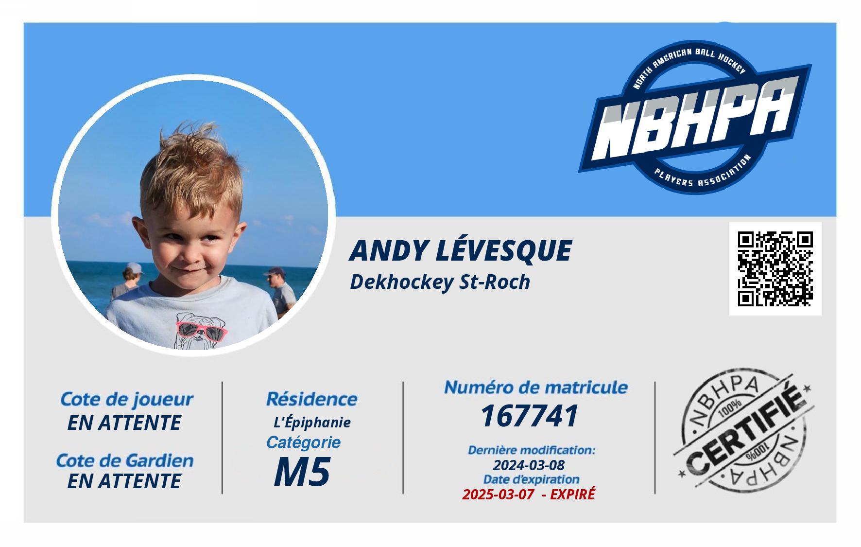 Andy Lévesque 