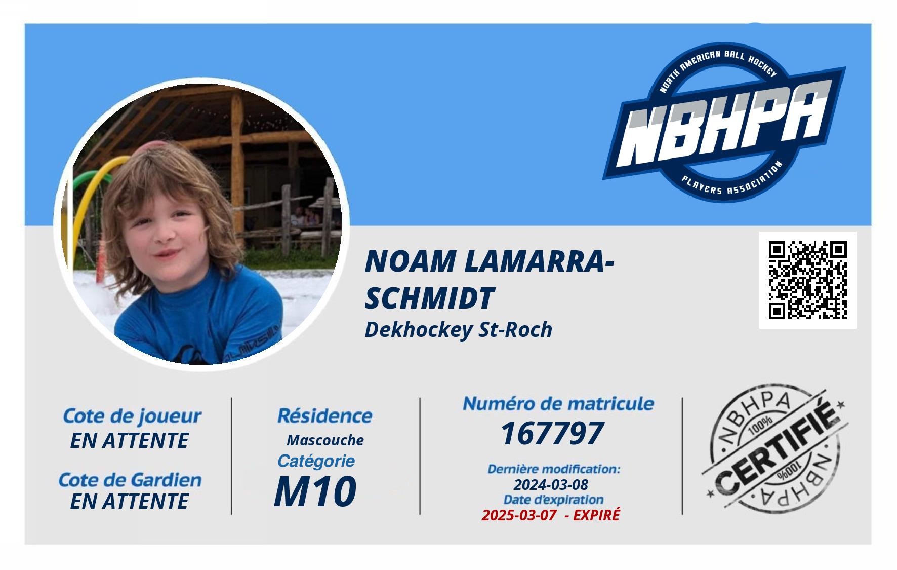 Noam Lamarra-Schmidt