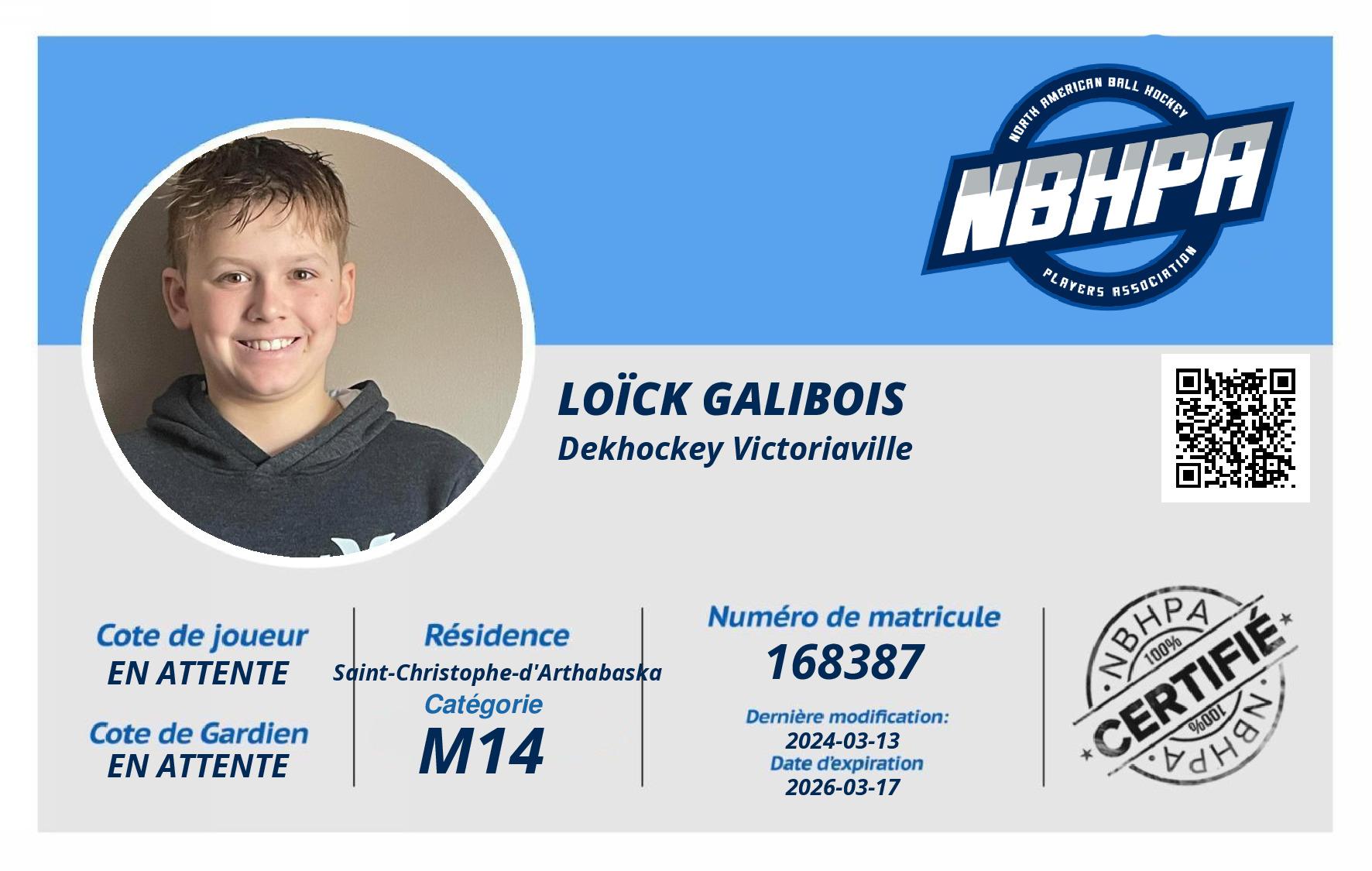 Loïck Galibois