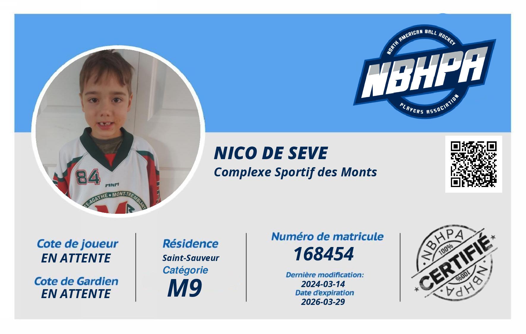 Nico De Seve