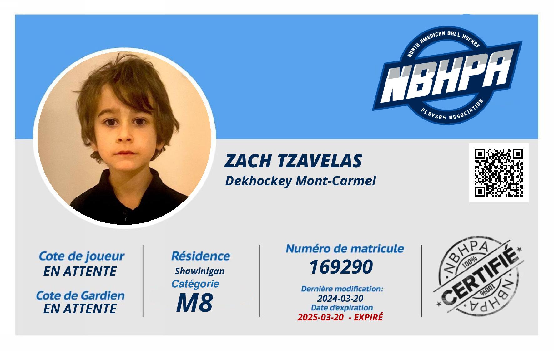 Zach Tzavelas