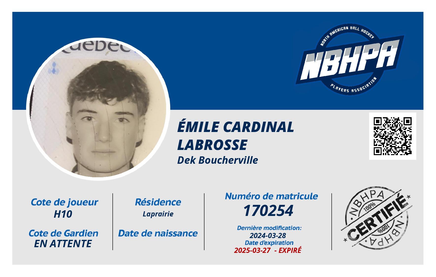 Émile Cardinal Labrosse