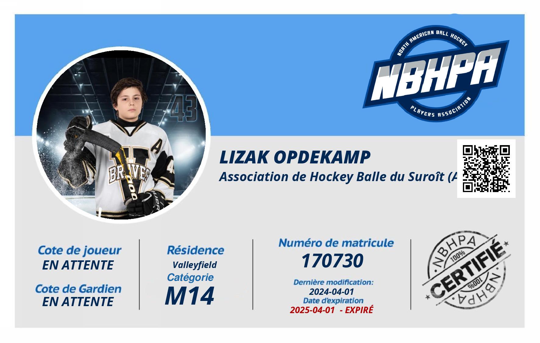 Lizak Opdekamp 