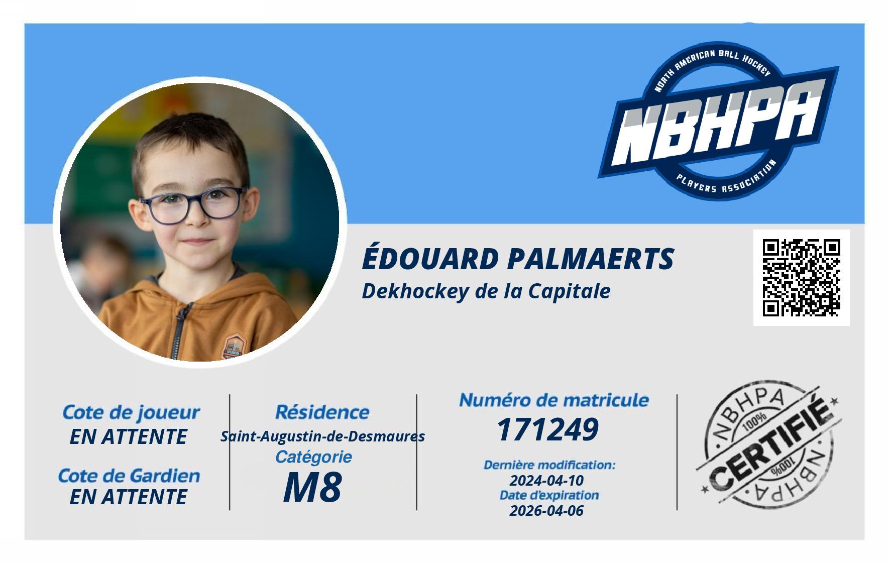 Édouard Palmaerts