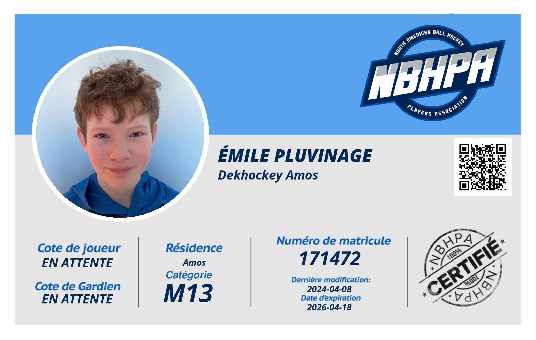 Émile Pluvinage