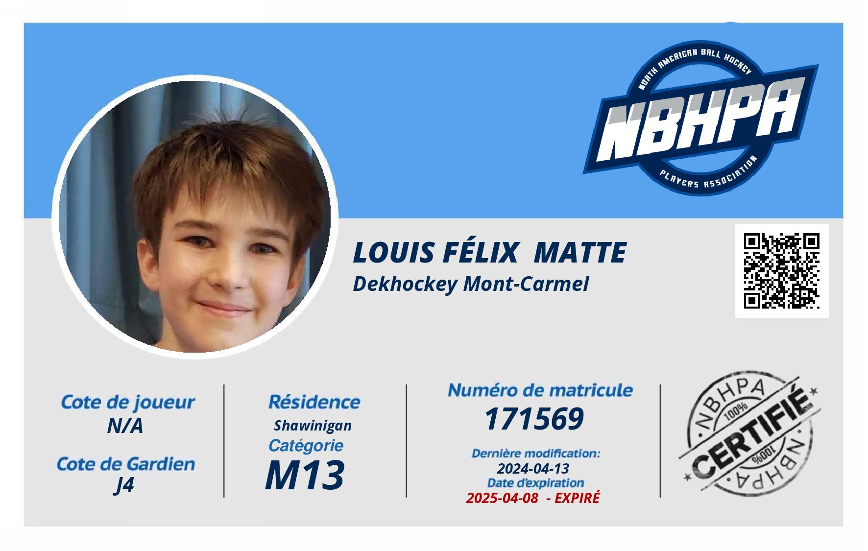 Louis Félix  Matte