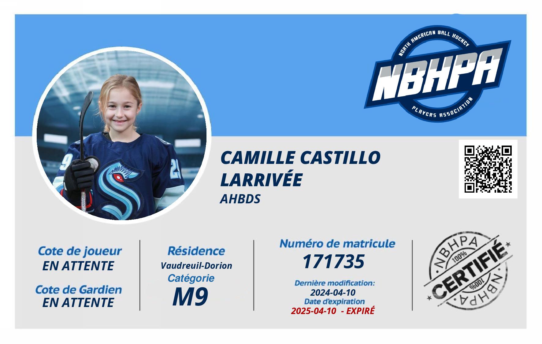 Camille Castillo Larrivée