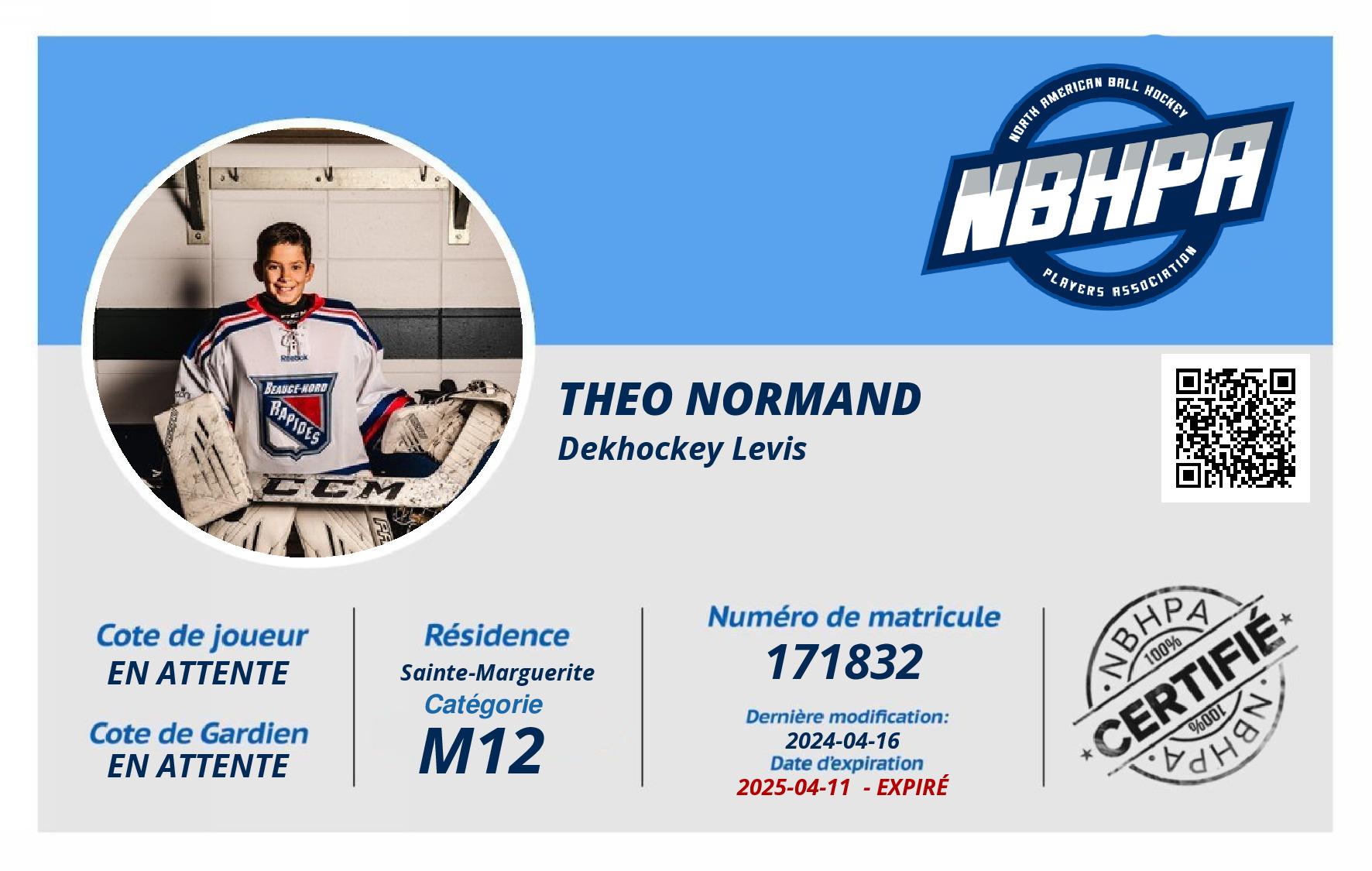 Theo Normand