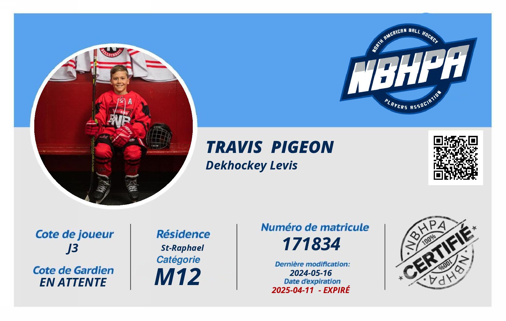 Travis  Pigeon 