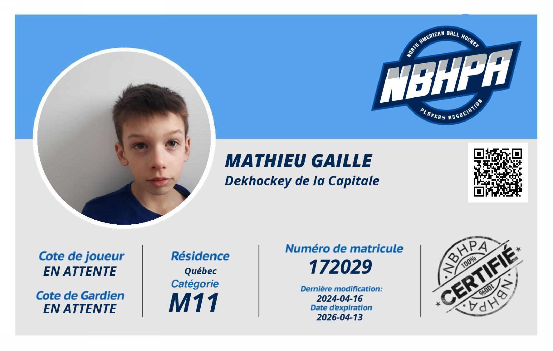 Mathieu Gaille