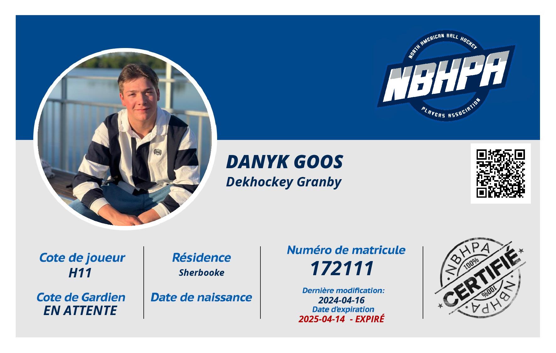 Danyk Goos