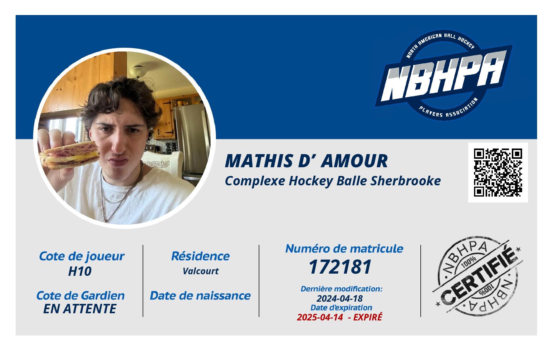 Mathis D’Amour