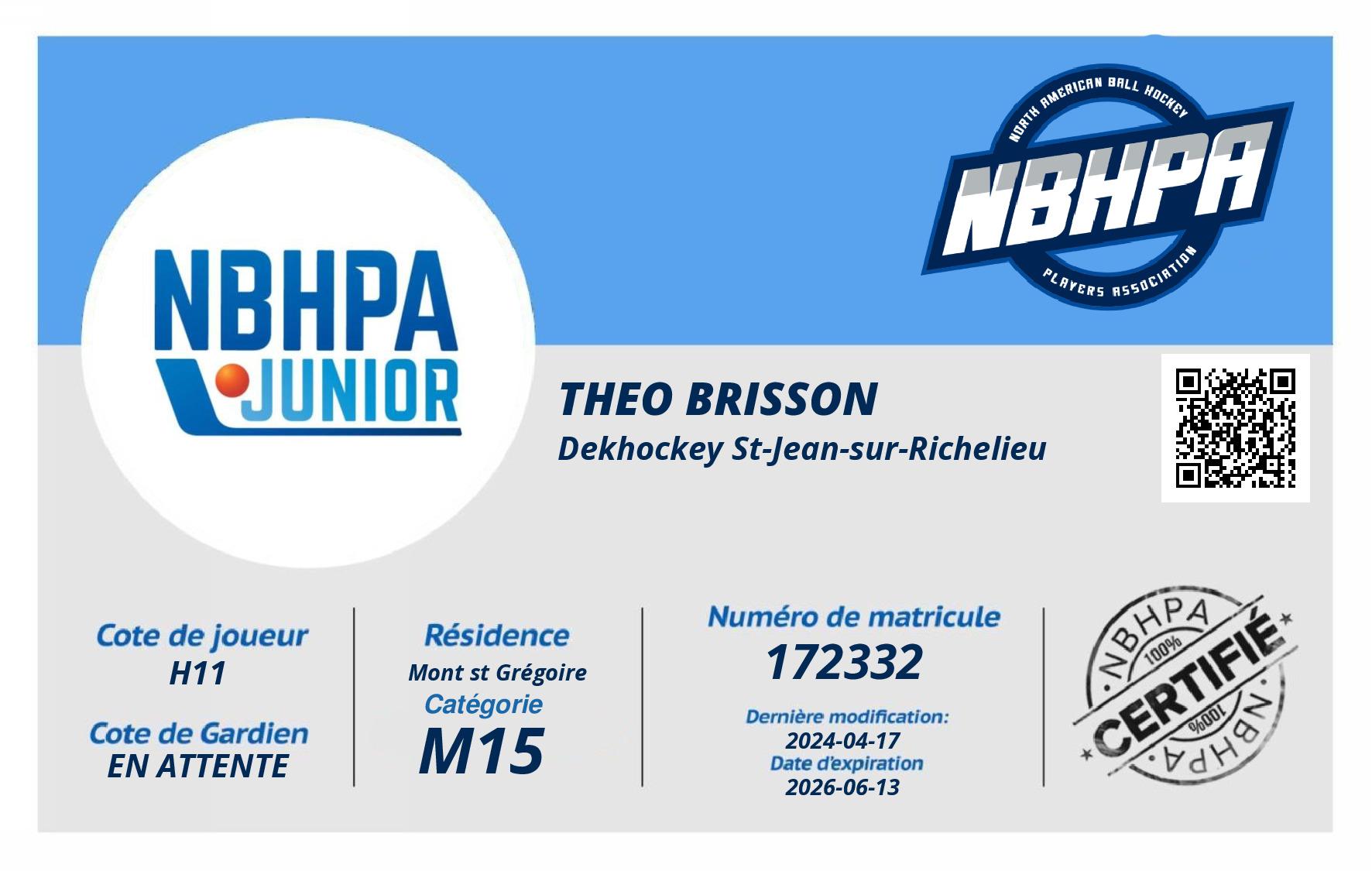 Theo Brisson