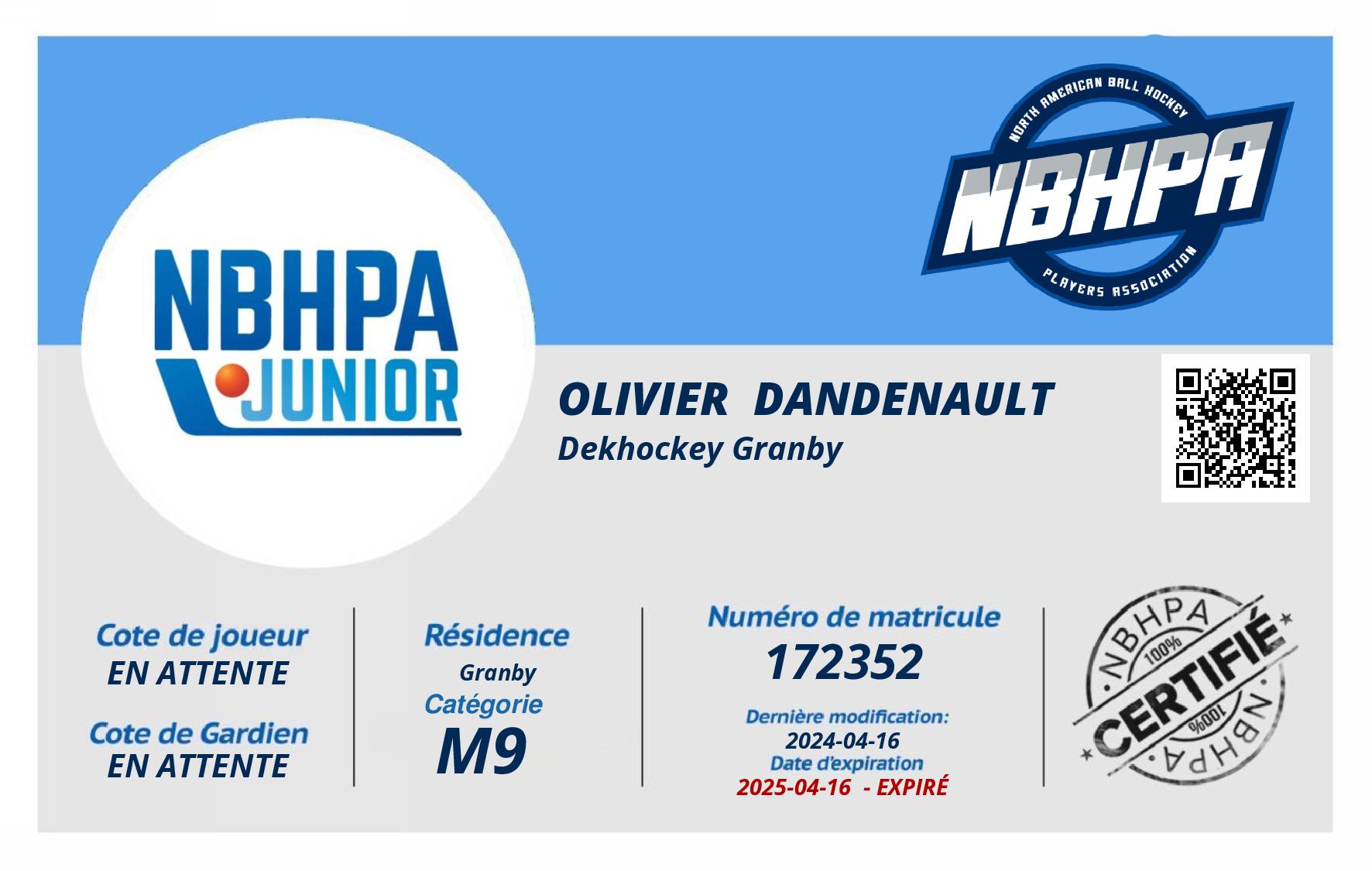 Olivier  Dandenault