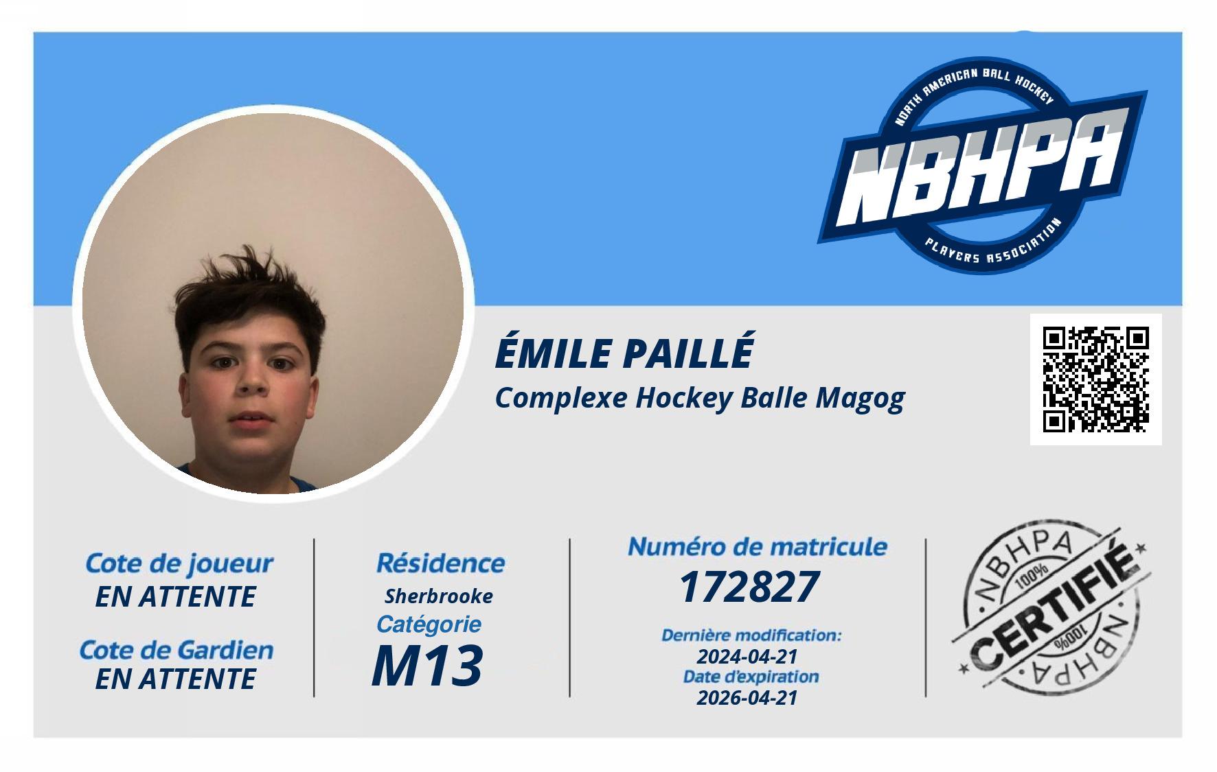 Émile Paillé