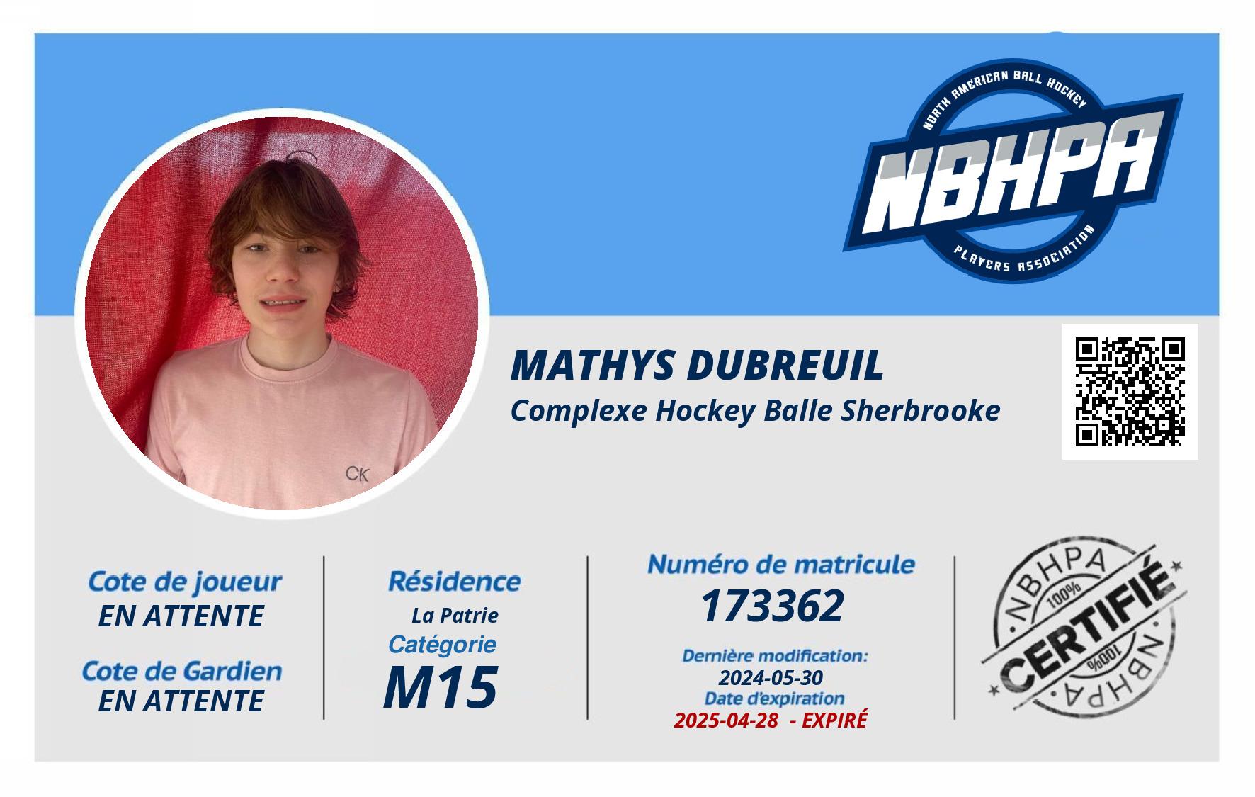 Mathys Dubreuil