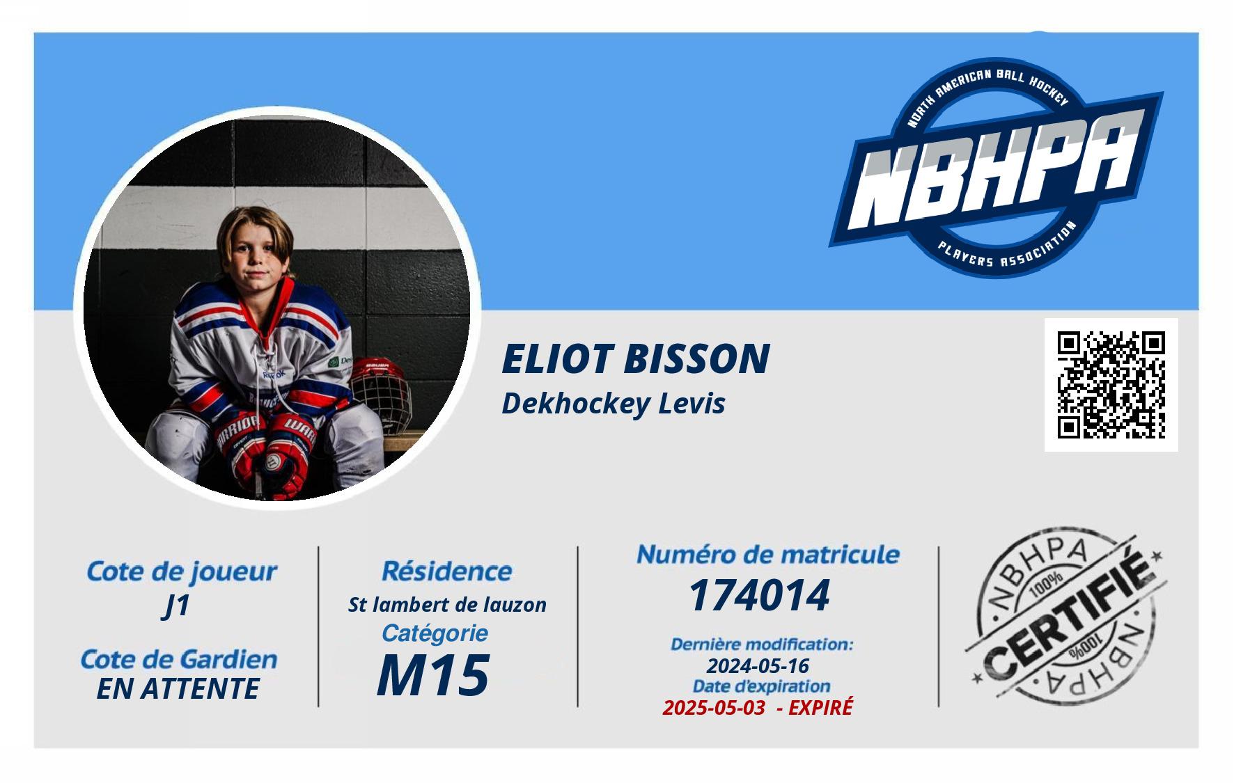 Eliot Bisson