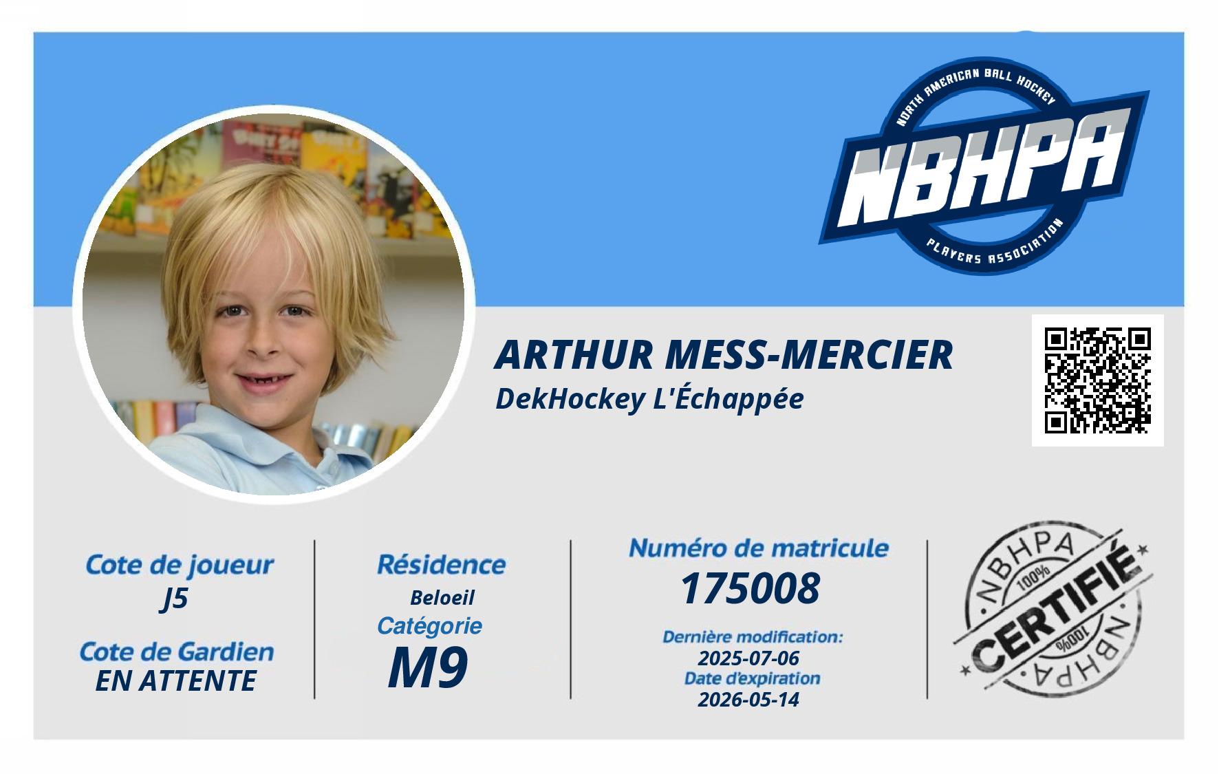 Arthur Mess-Mercier