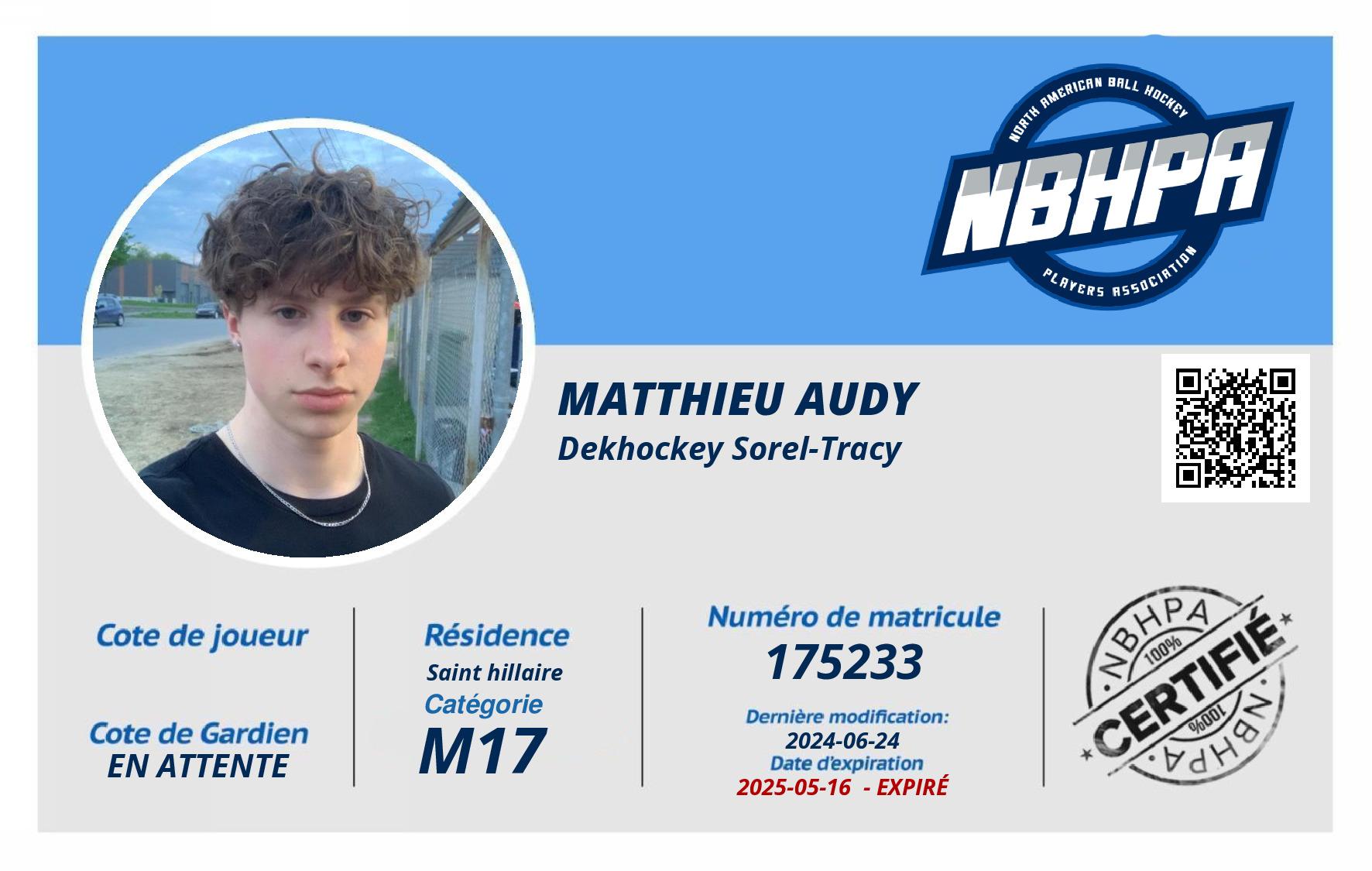 Matthieu Audy