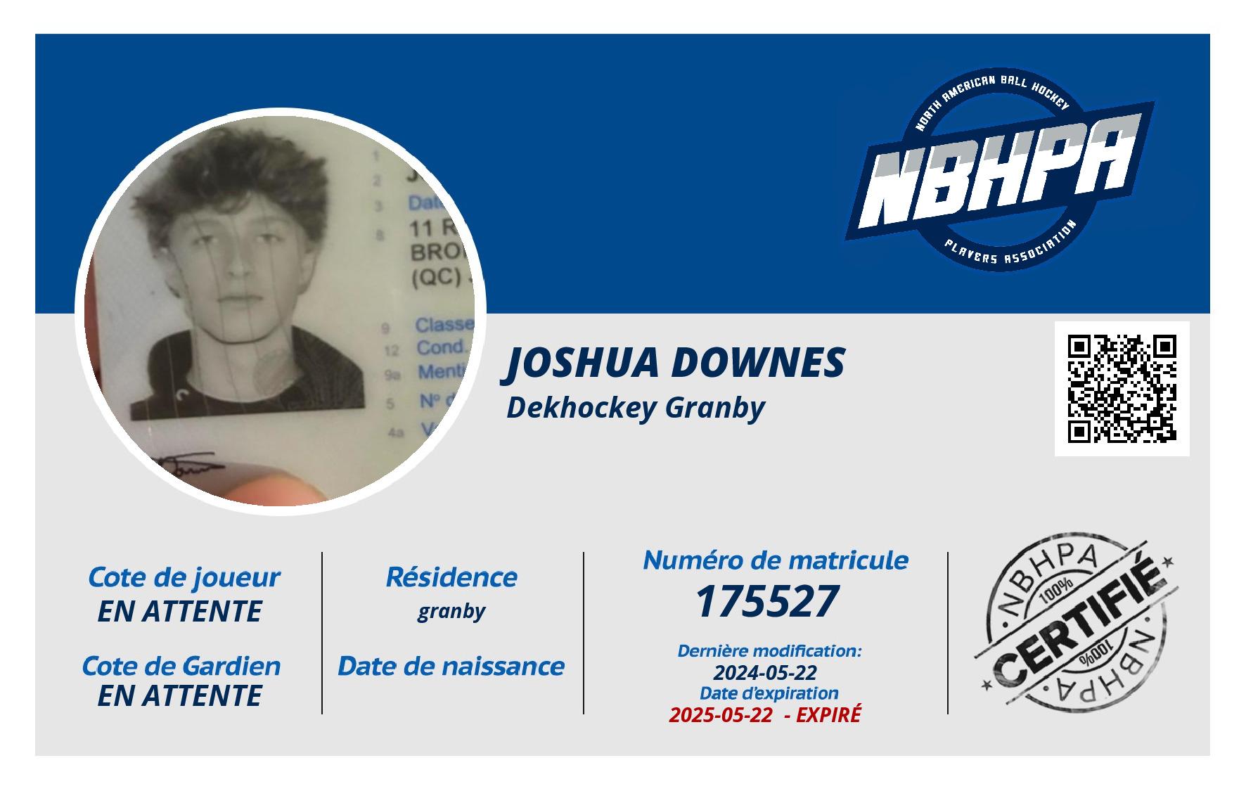 Joshua Downes
