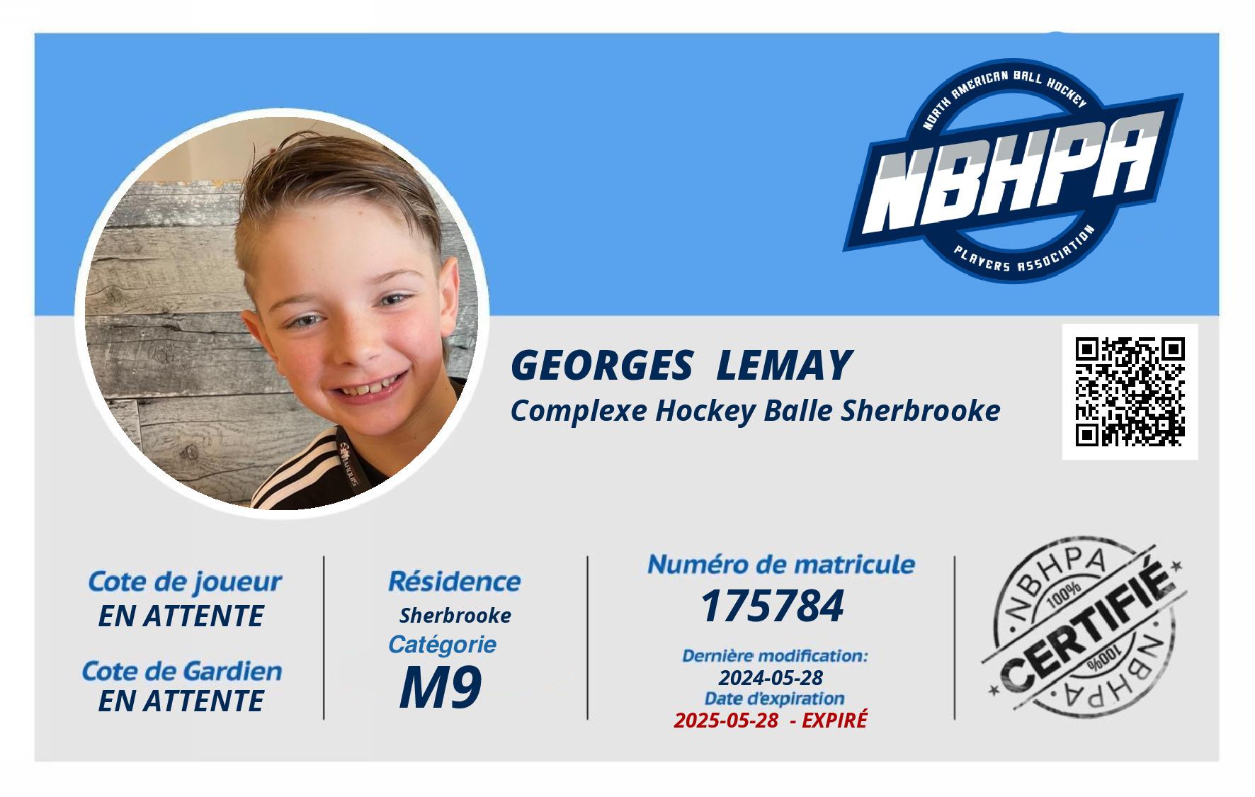 Georges  Lemay 