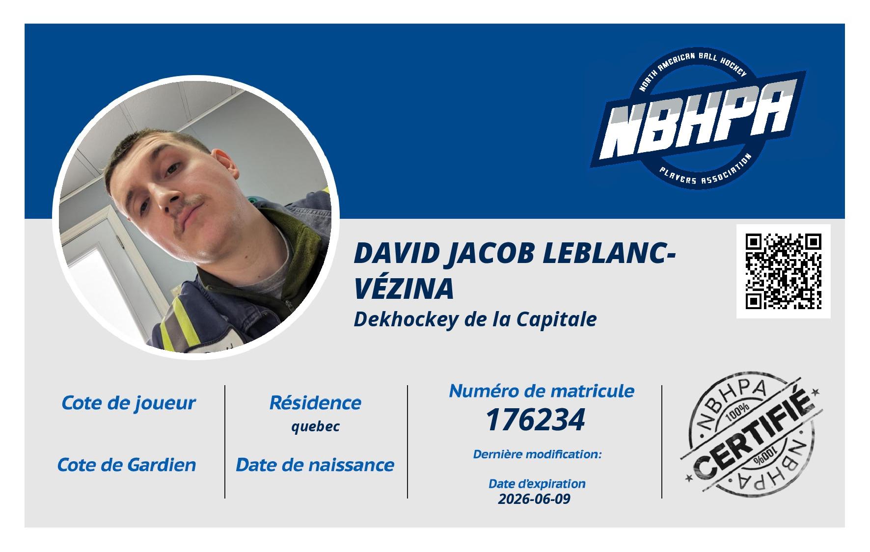 David Jacob Leblanc-Vézina