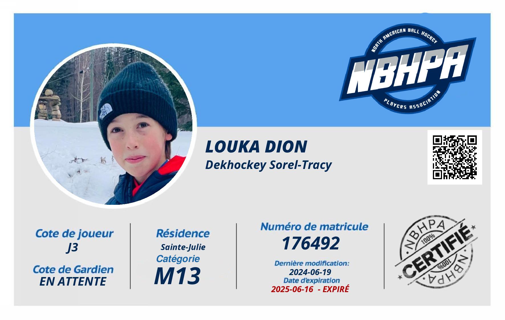 Louka Dion