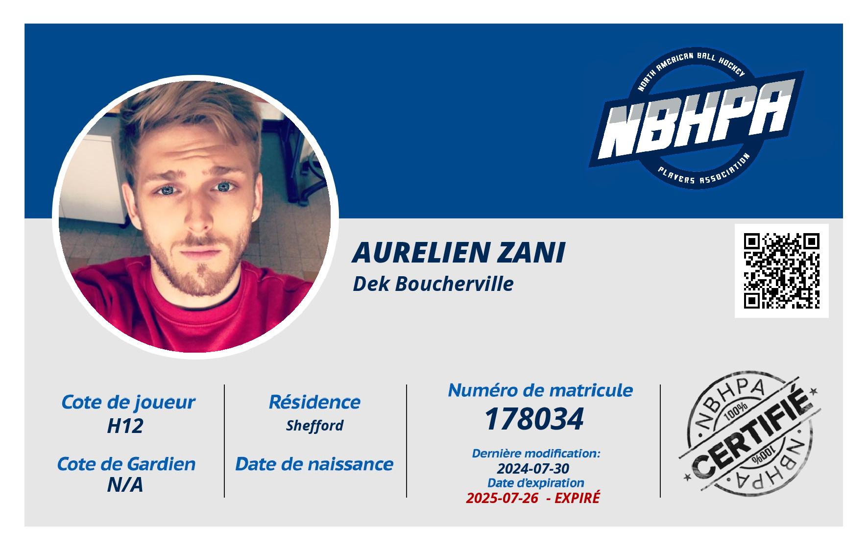 Aurelien Zani