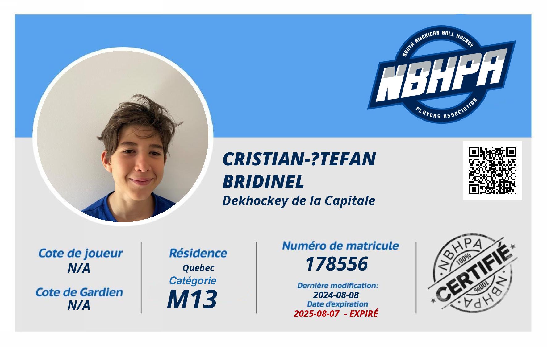 Cristian-Ștefan Bridinel