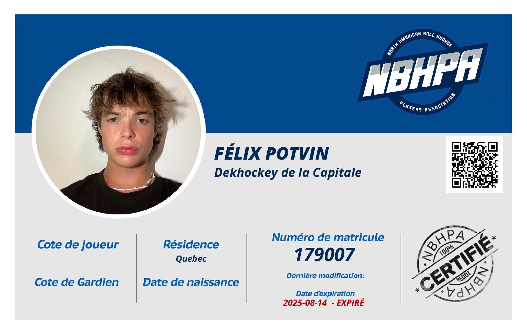 Félix Potvin