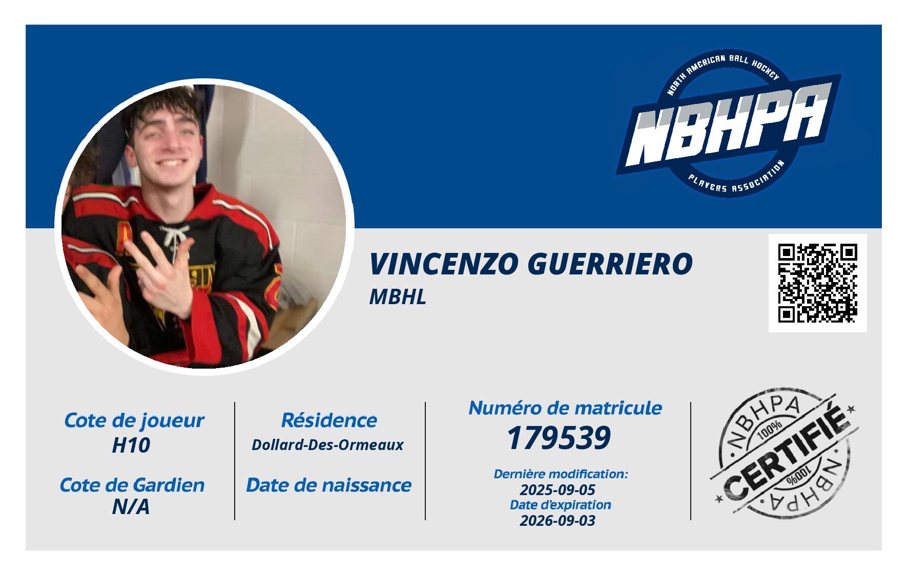 Vincenzo Guerriero