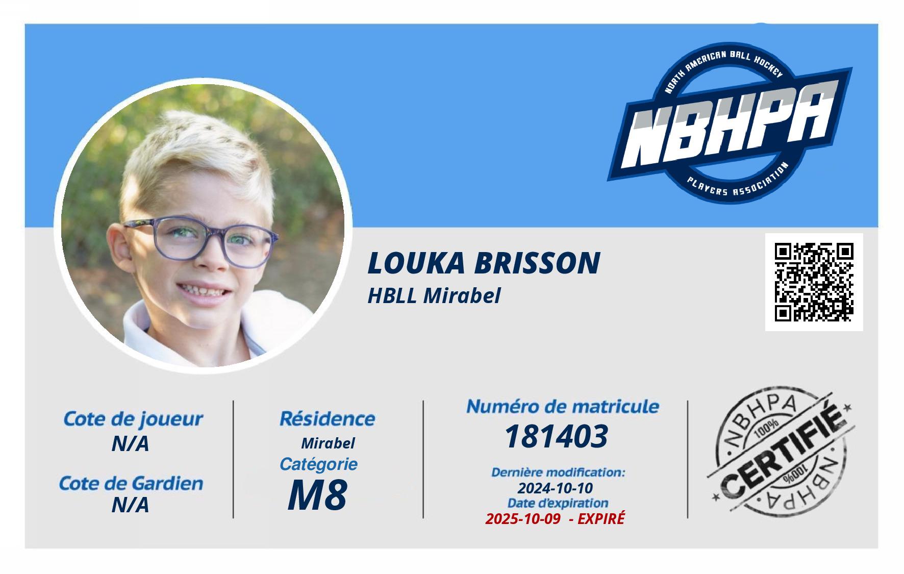 Louka Brisson