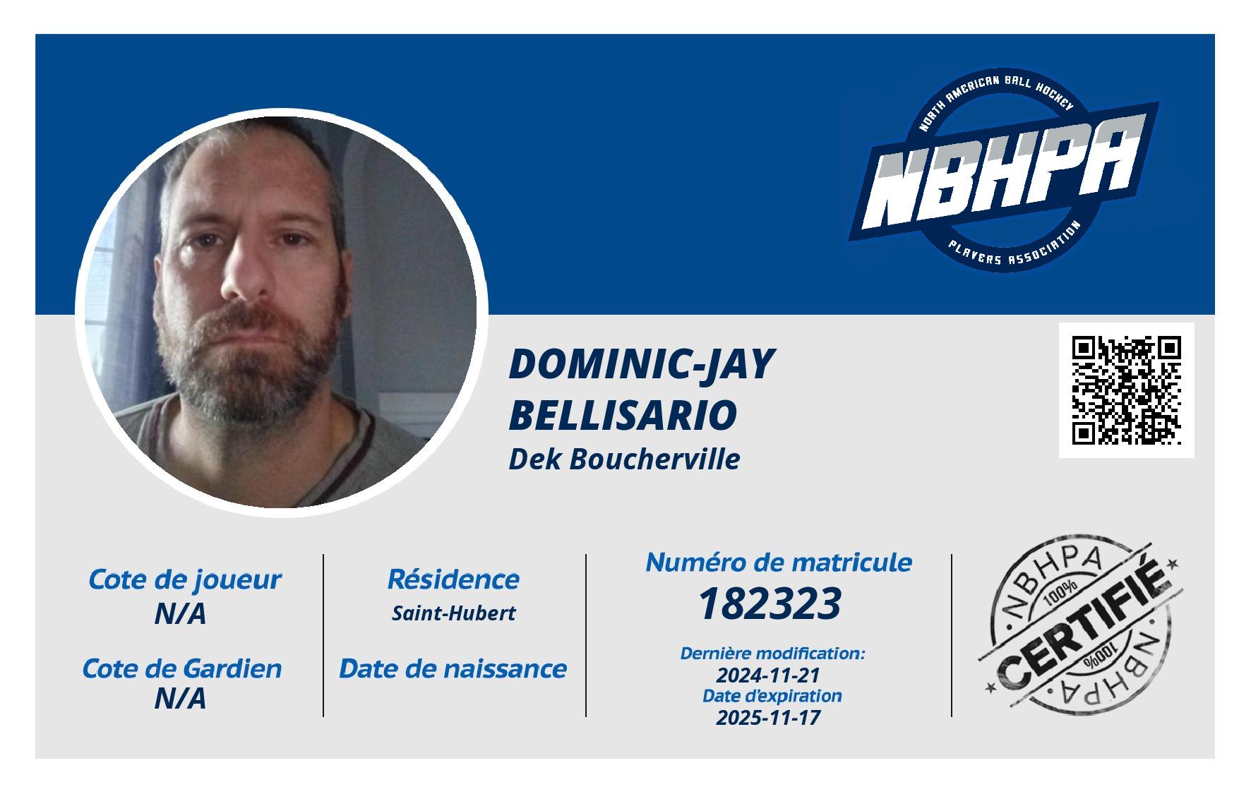 Dominic-Jay Bellisario