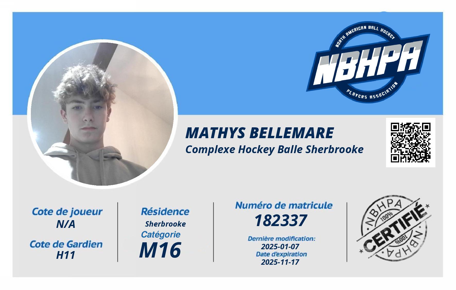 Mathys Bellemare