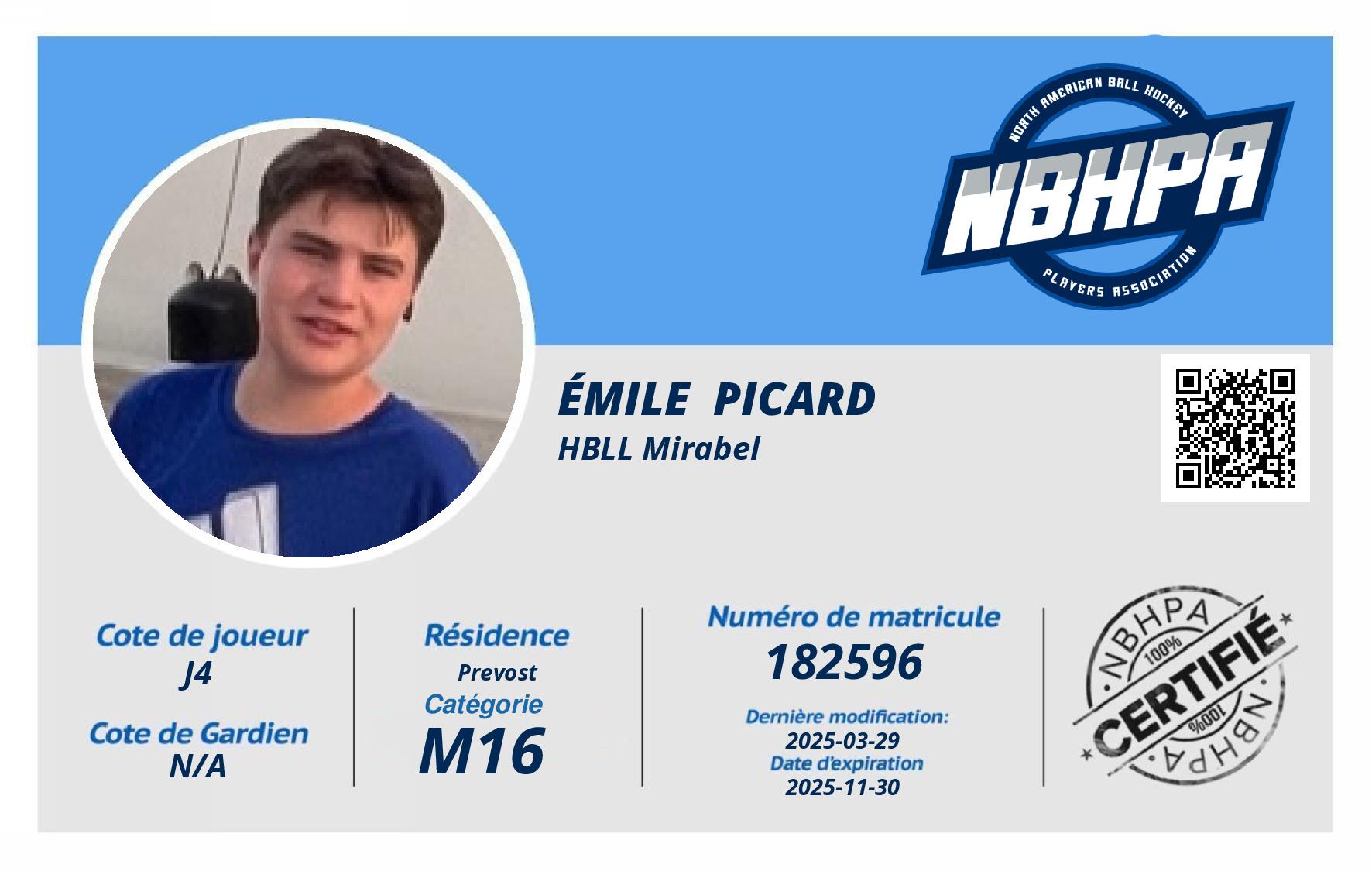 Émile  Picard