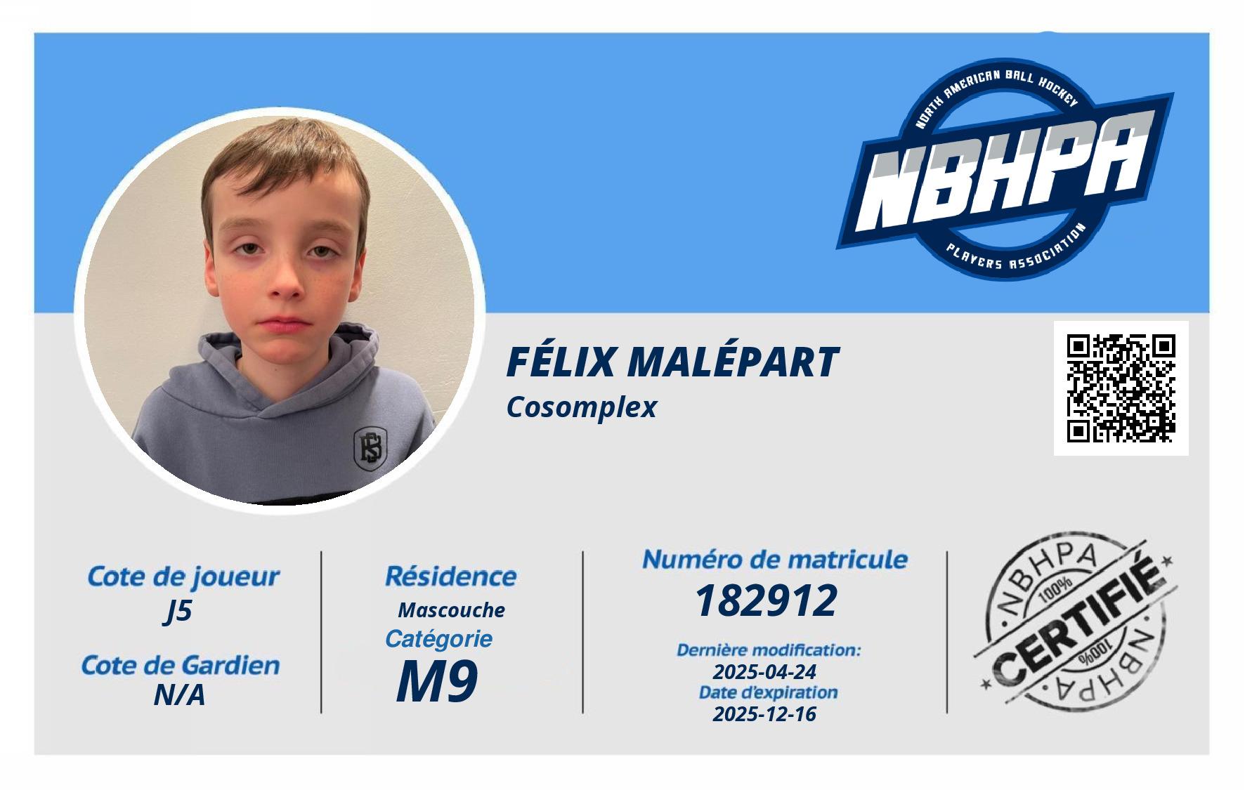 Félix Malépart