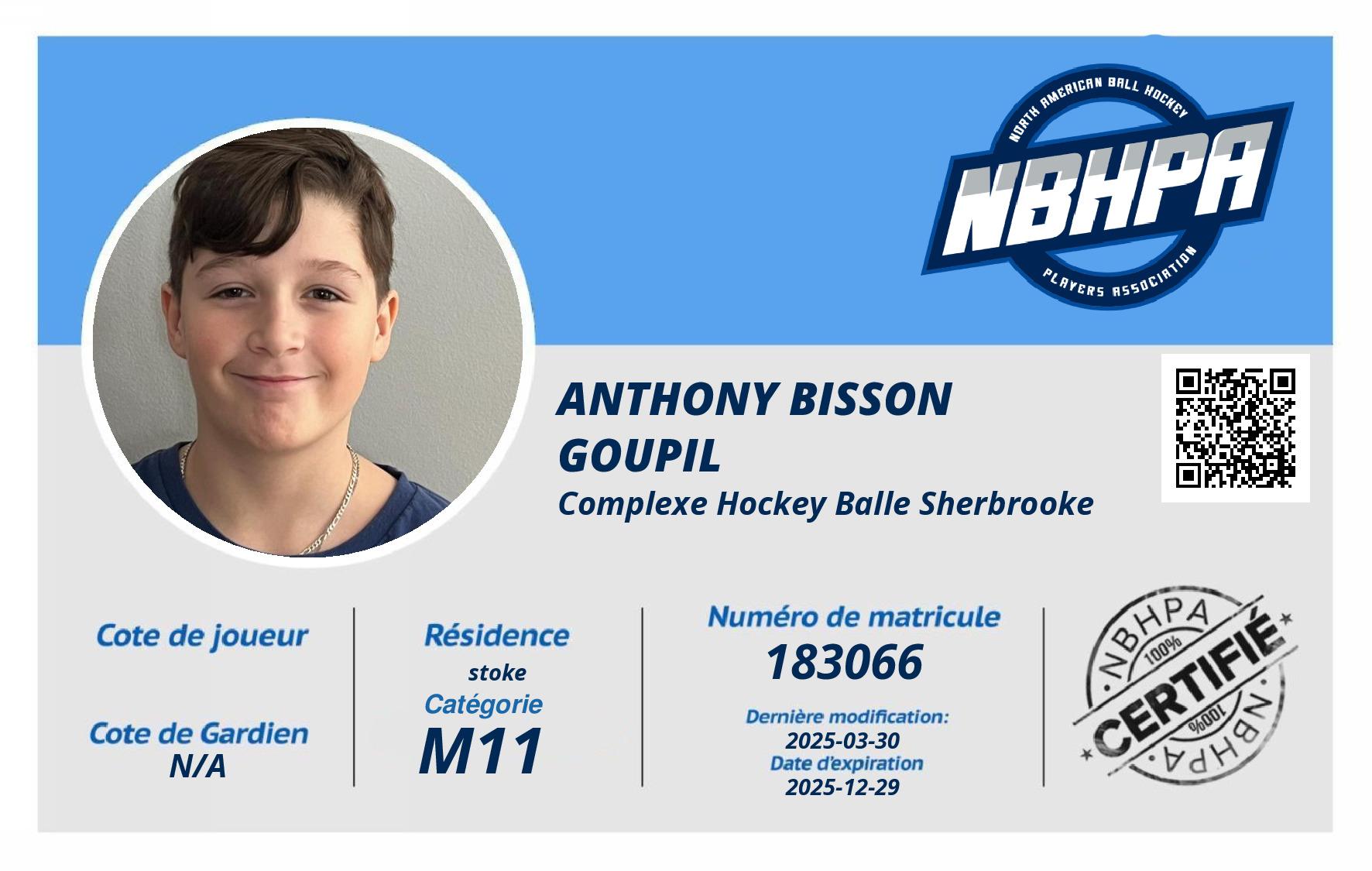 Anthony Bisson Goupil