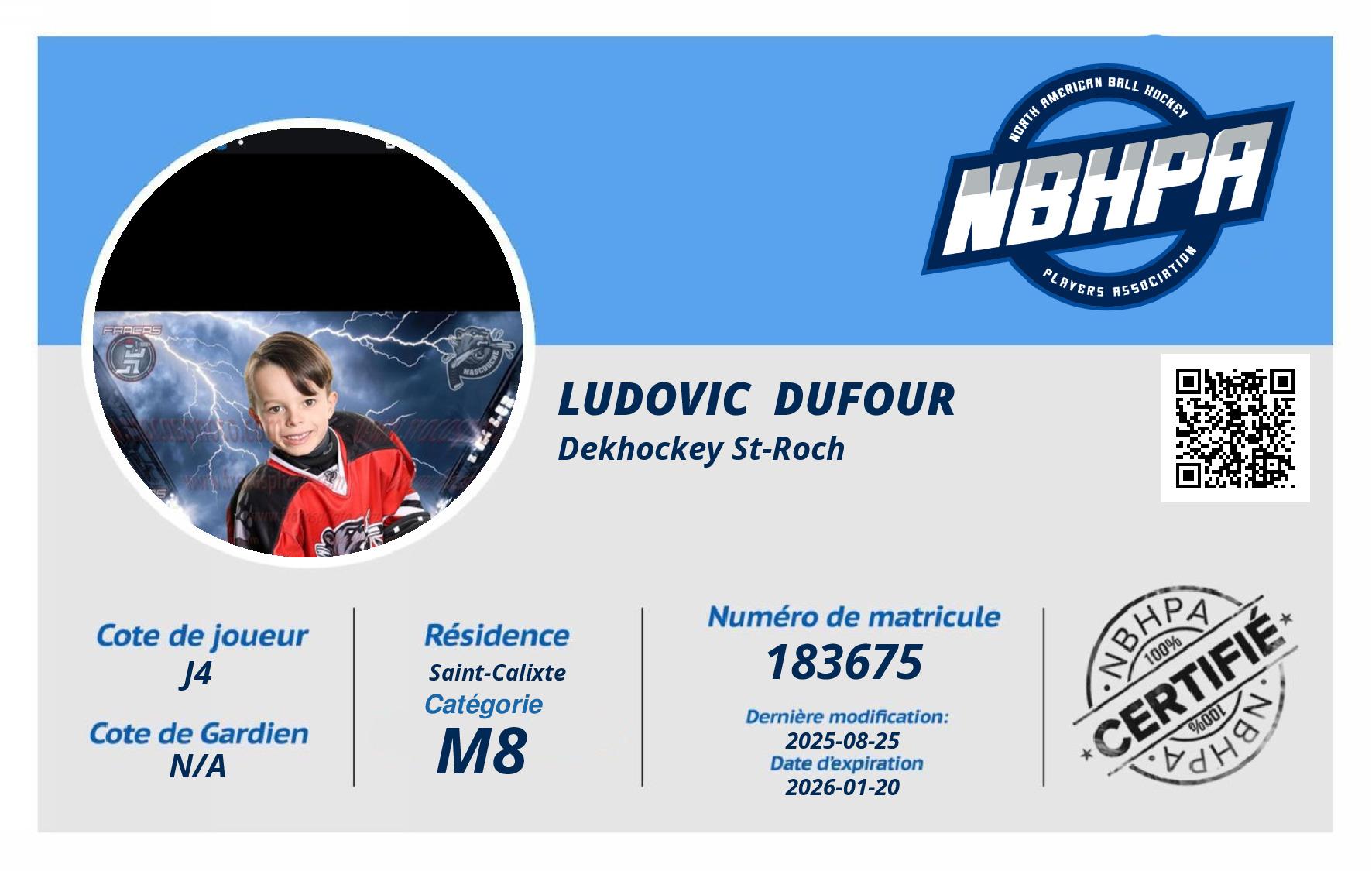 Ludovic  Dufour 