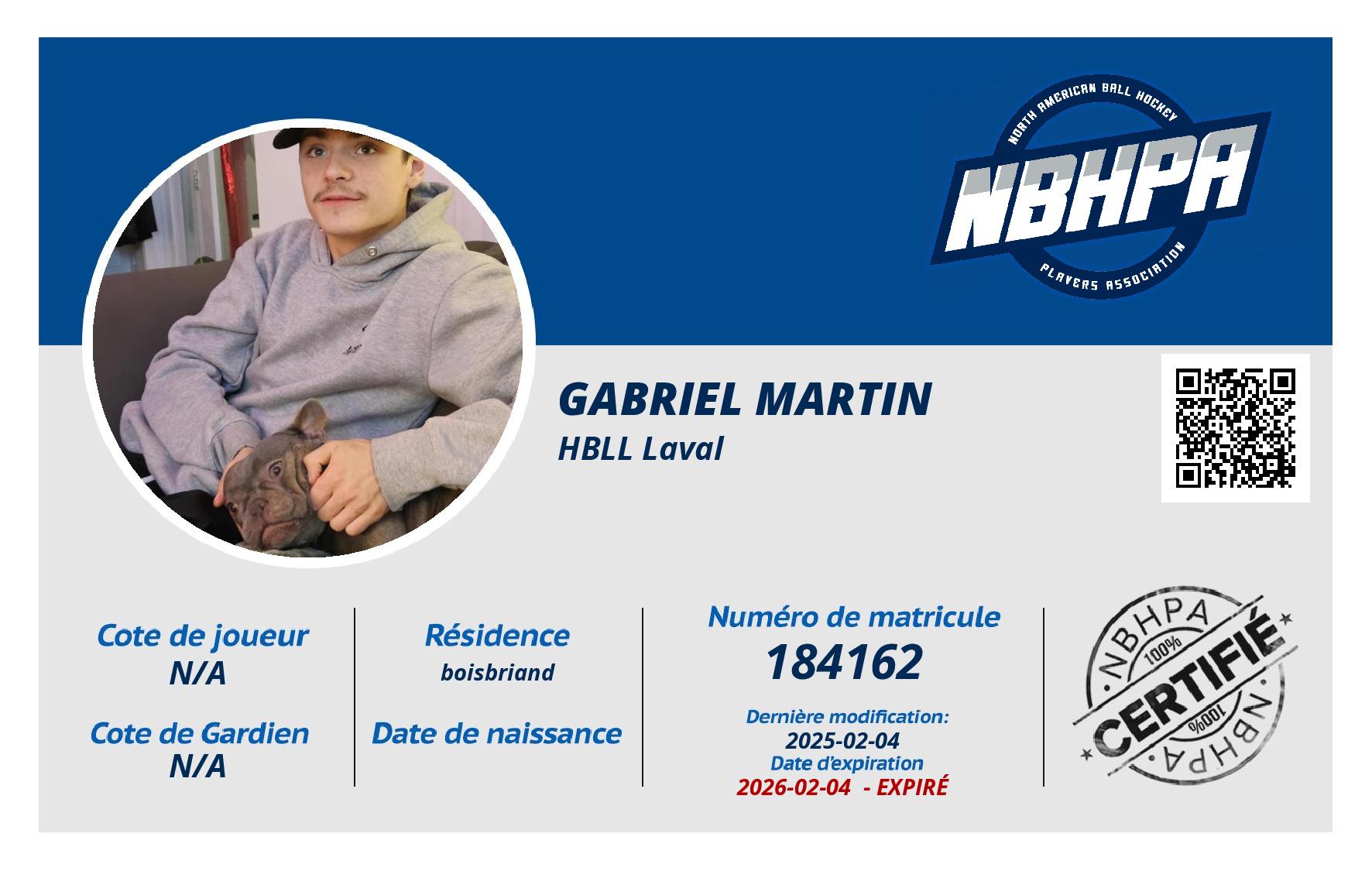 gabriel martin