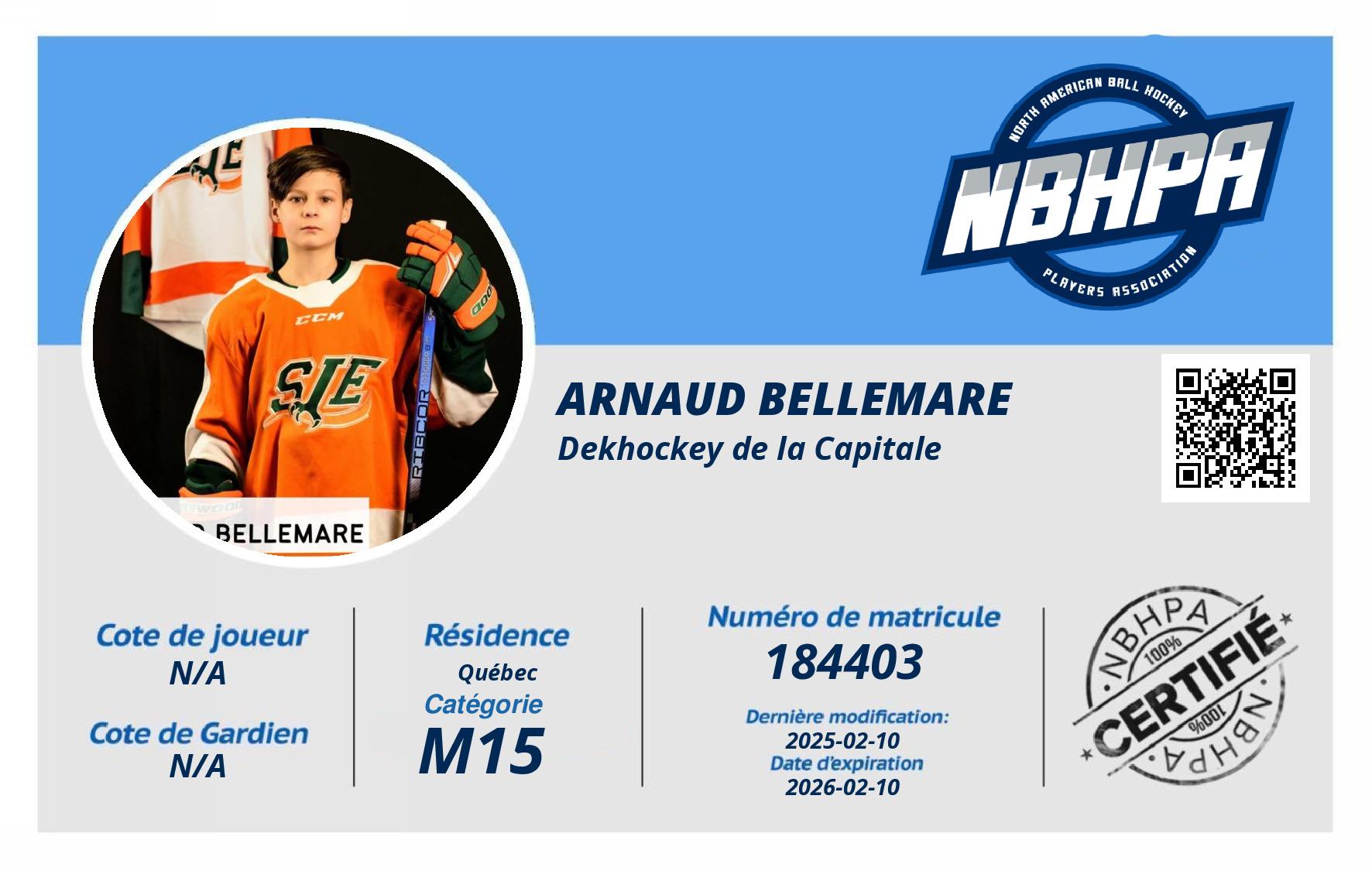Arnaud Bellemare