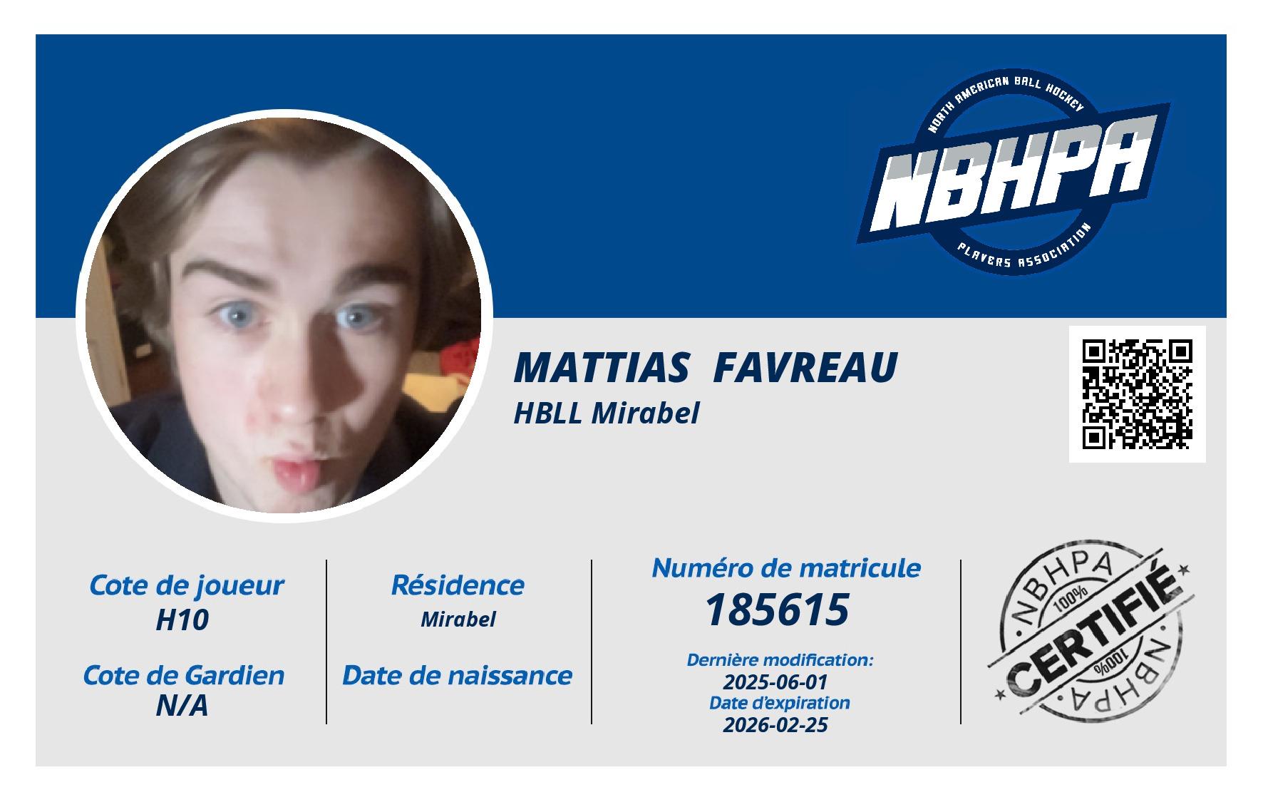 Mattias  Favreau