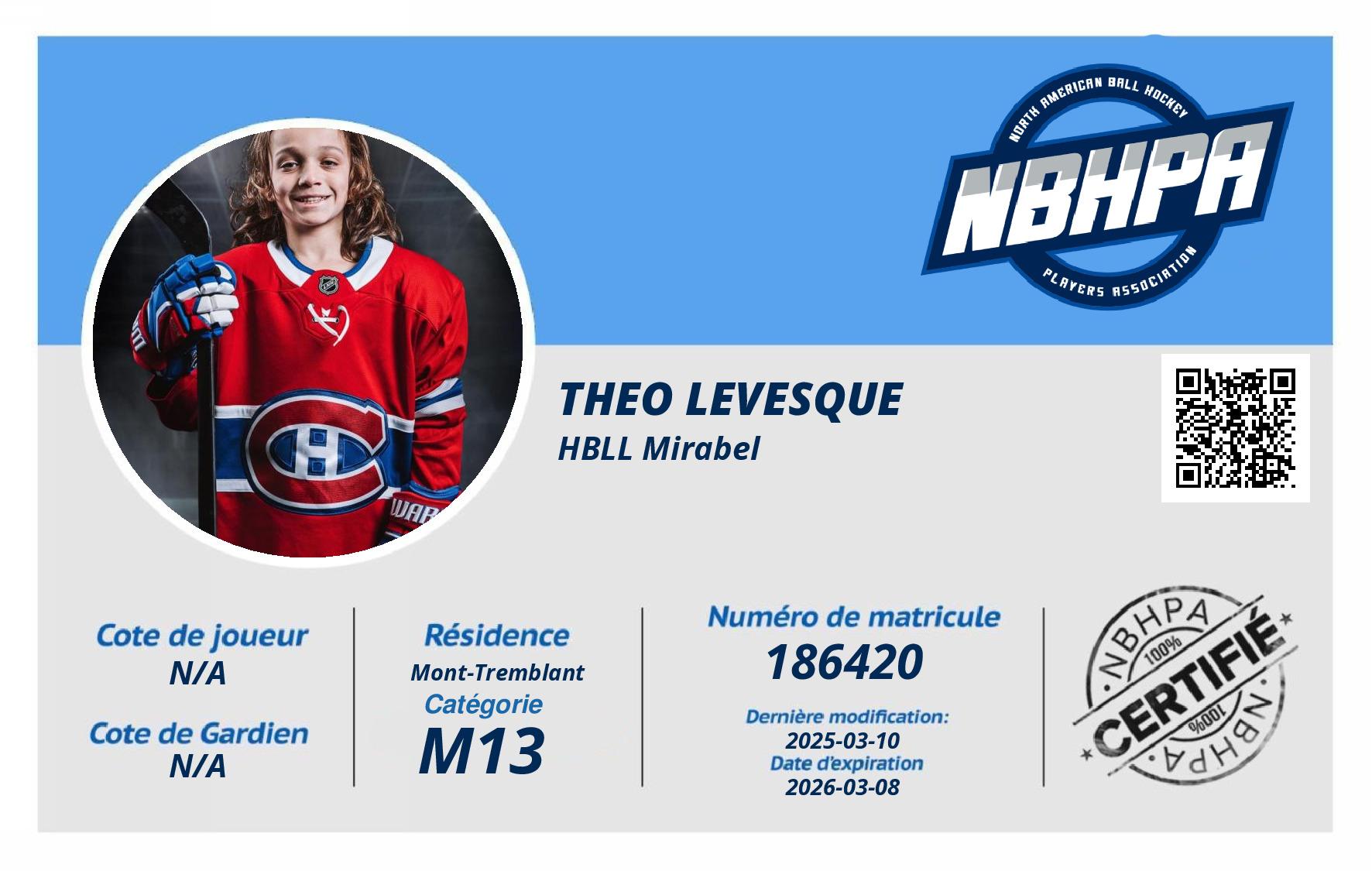 Theo Levesque