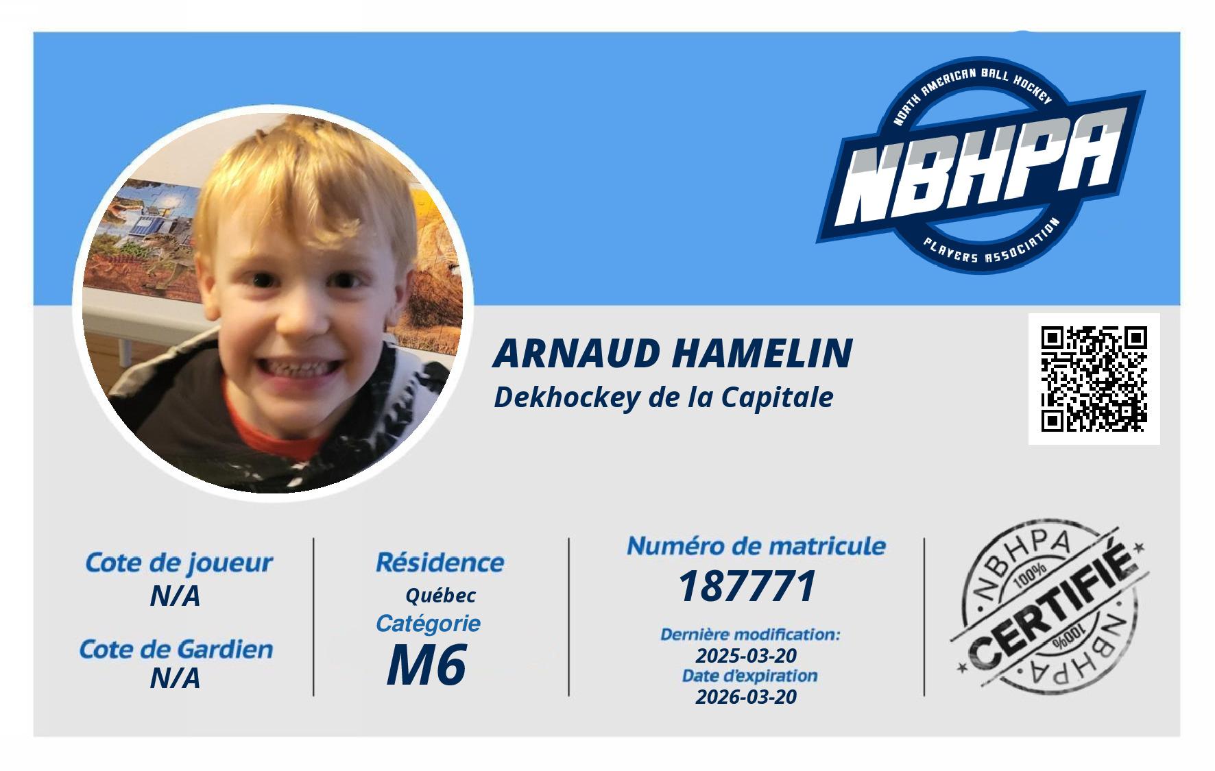 Arnaud Hamelin