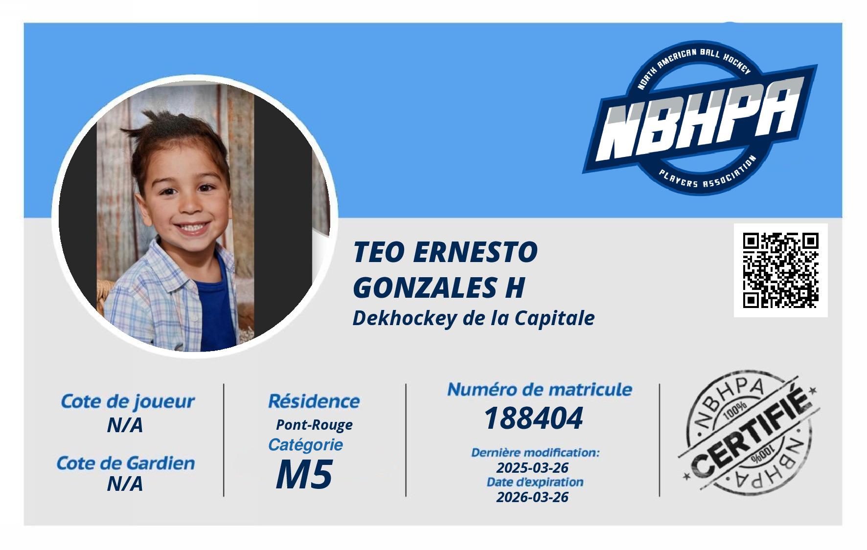 Teo Ernesto Gonzales H