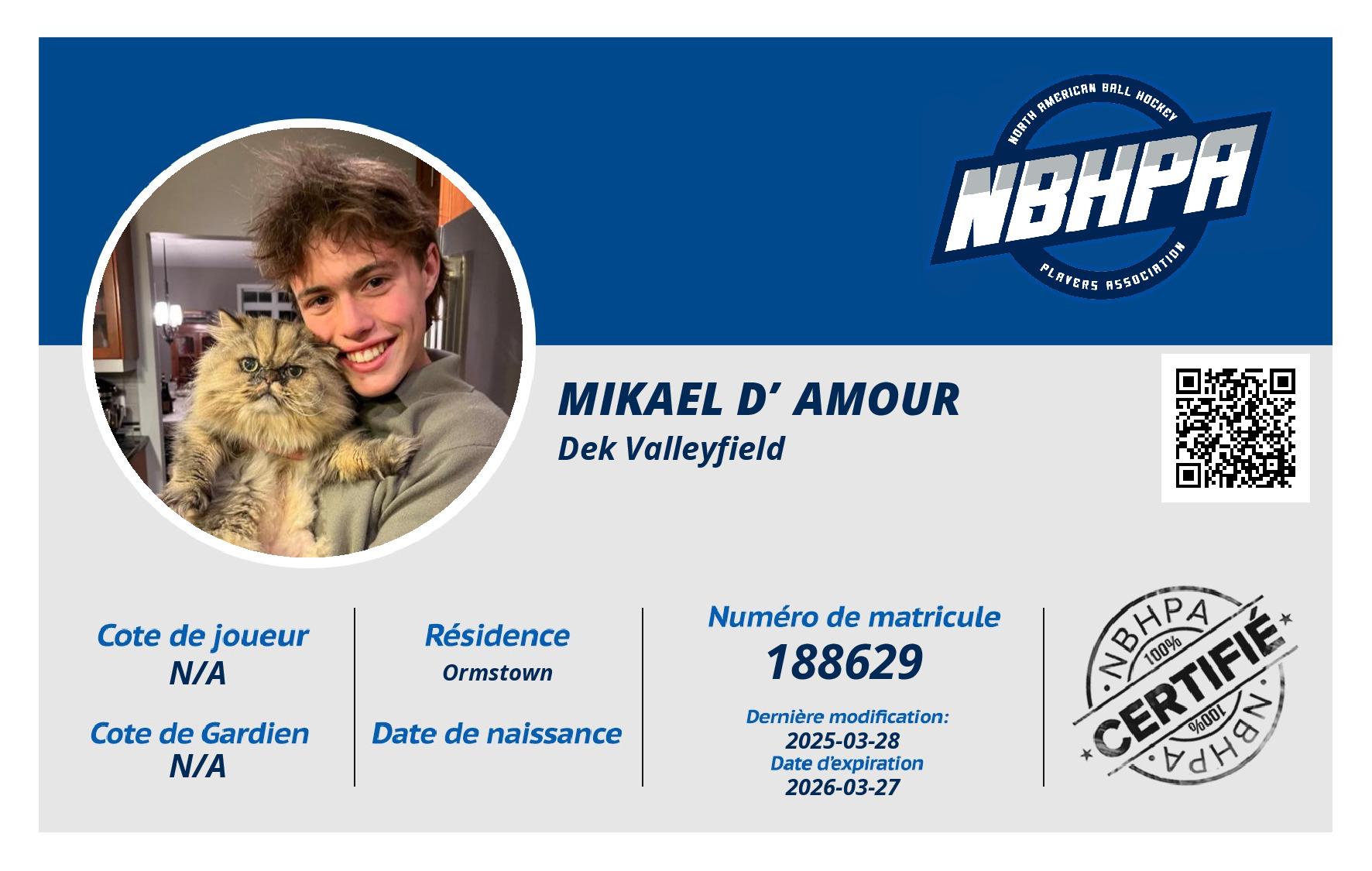 Mikael D’Amour