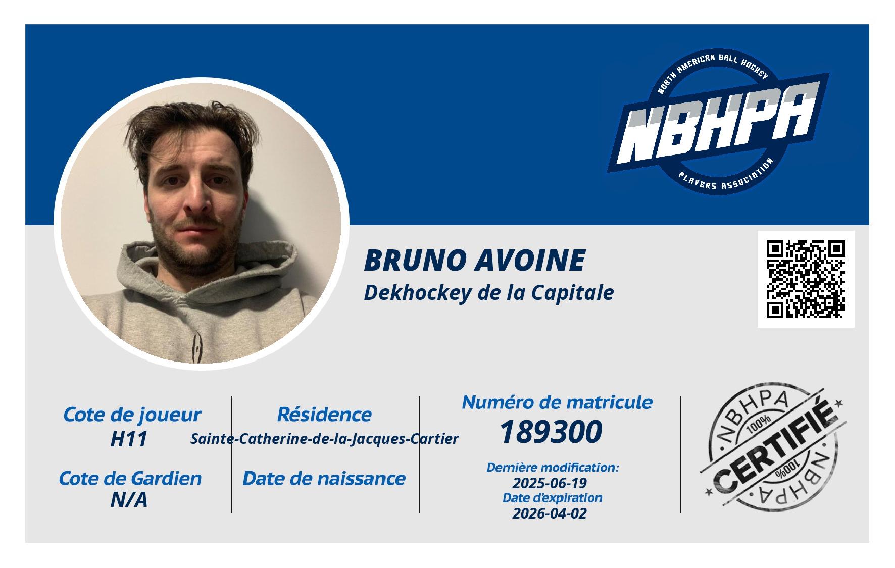 Bruno Avoine