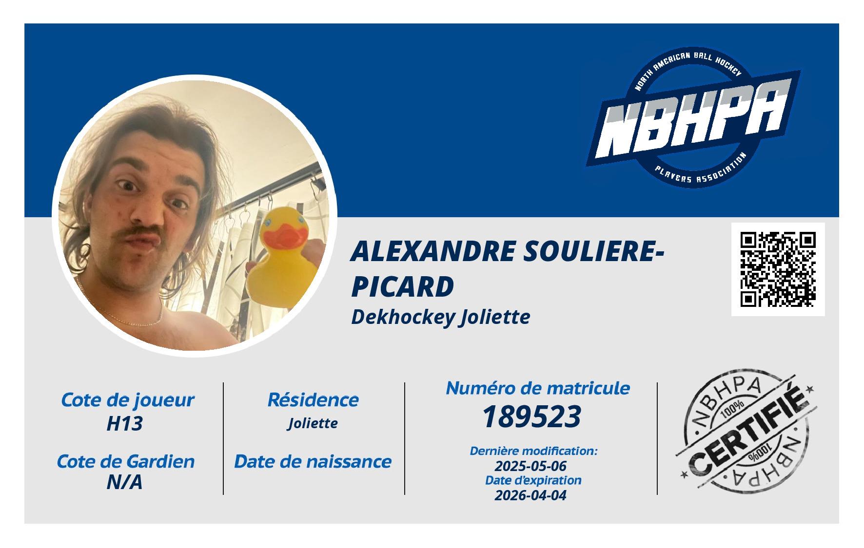 Alexandre Souliere-Picard