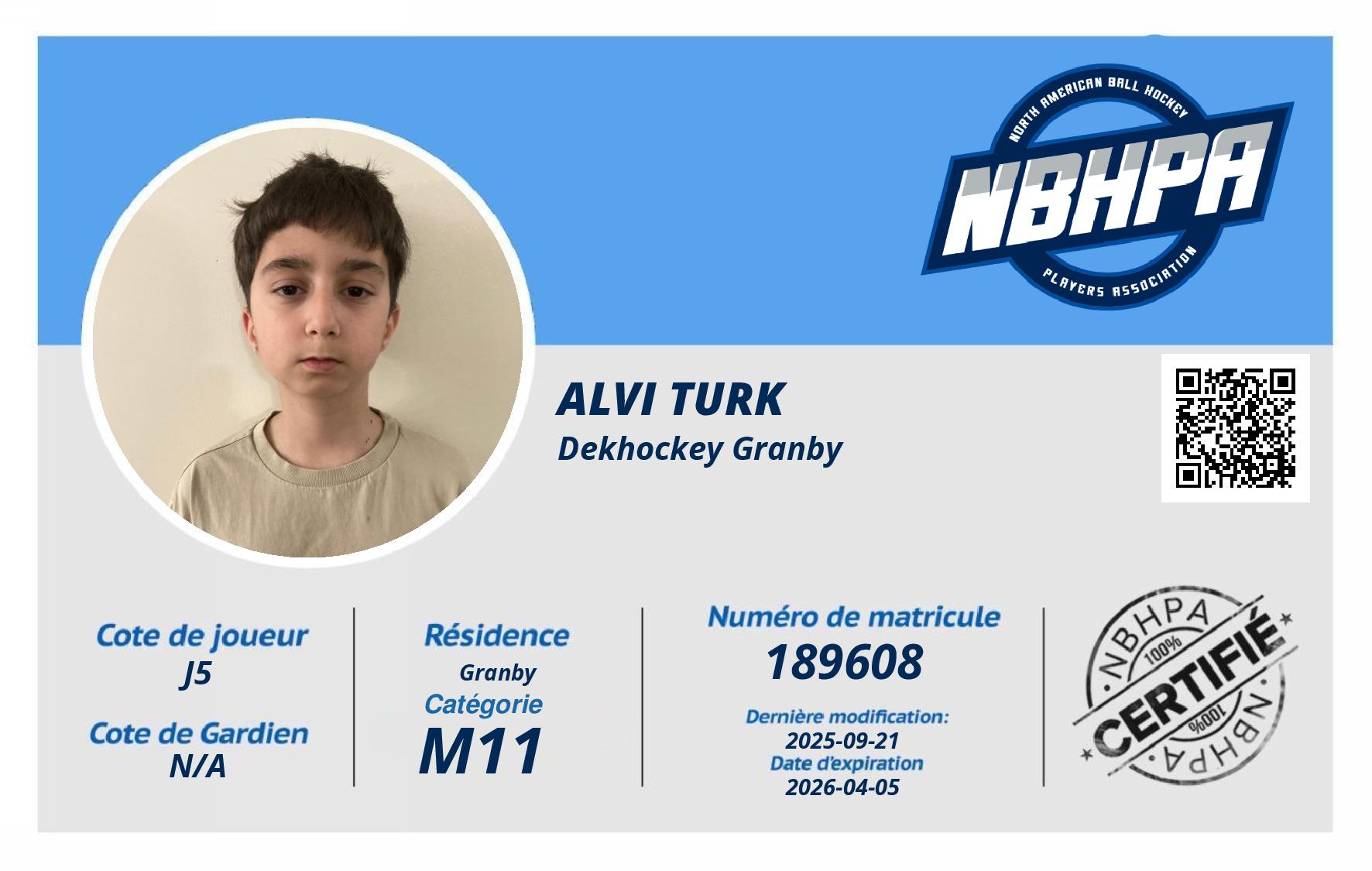 Alvi Turk