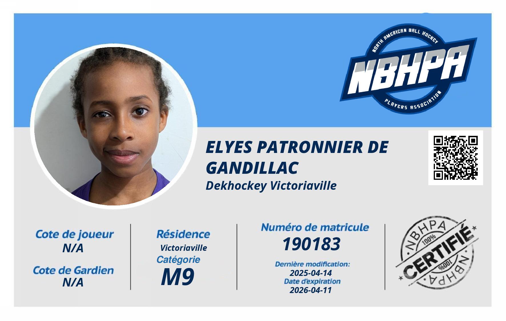 Elyes Patronnier de Gandillac